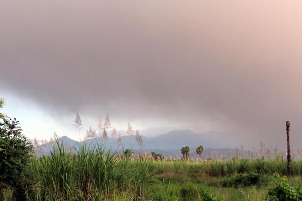 Vegetación cubierta por la ceniza. (Foto Prensa Libre: Rolando Miranda)