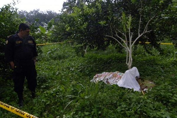 Agente de la PNC observa el cadáver de Rodrigo Gómez, quien fue encontrado en una finca, en San Antonio Suchitepéquez. (Foto Prensa Libre: Omar Méndez)