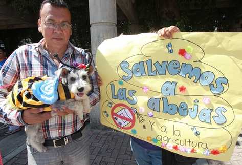 Activistas se pronunciaron a favor de la naturaleza (Foto Prensa Libre: ESTUARDO PAREDES).