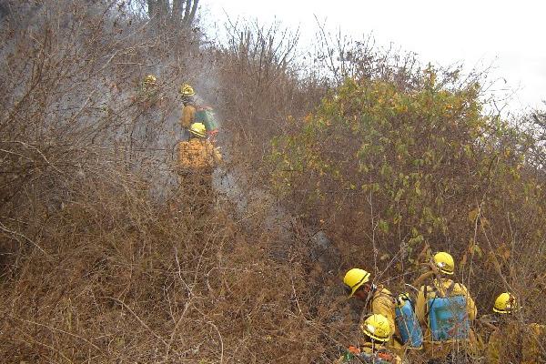 Socorristas combaten un incendio en un área de la reserva natural Los Cerritos.
