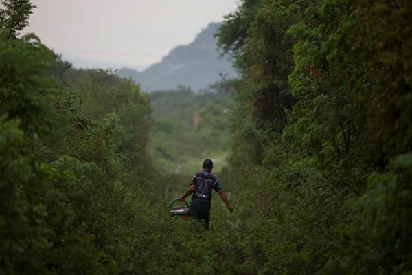 Migrantes deben caminar zonas boscosas. (Foto Prensa Libre: AP)