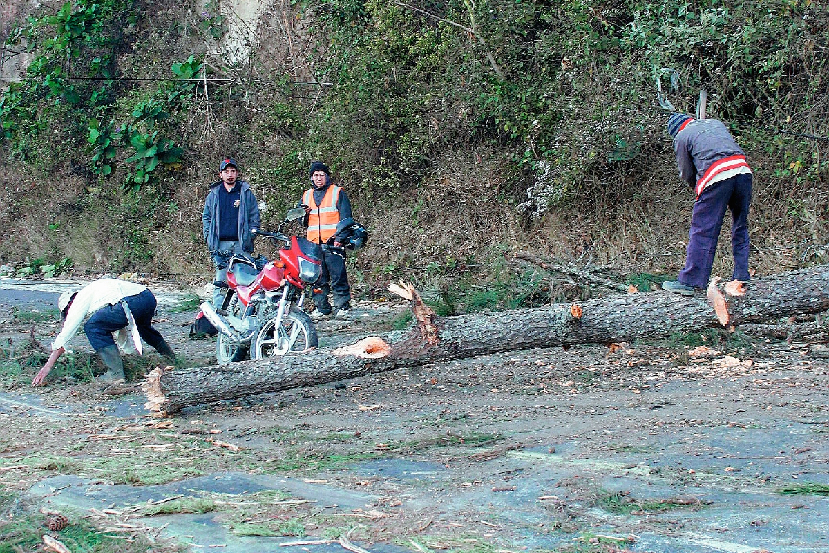 La motocicleta del afectado quedo cerca del árbol que desconocidos botaron con motosierra, en Sumpango, Sacatepéquez. (Foto Prensa Libre: Víctor Chamalé)