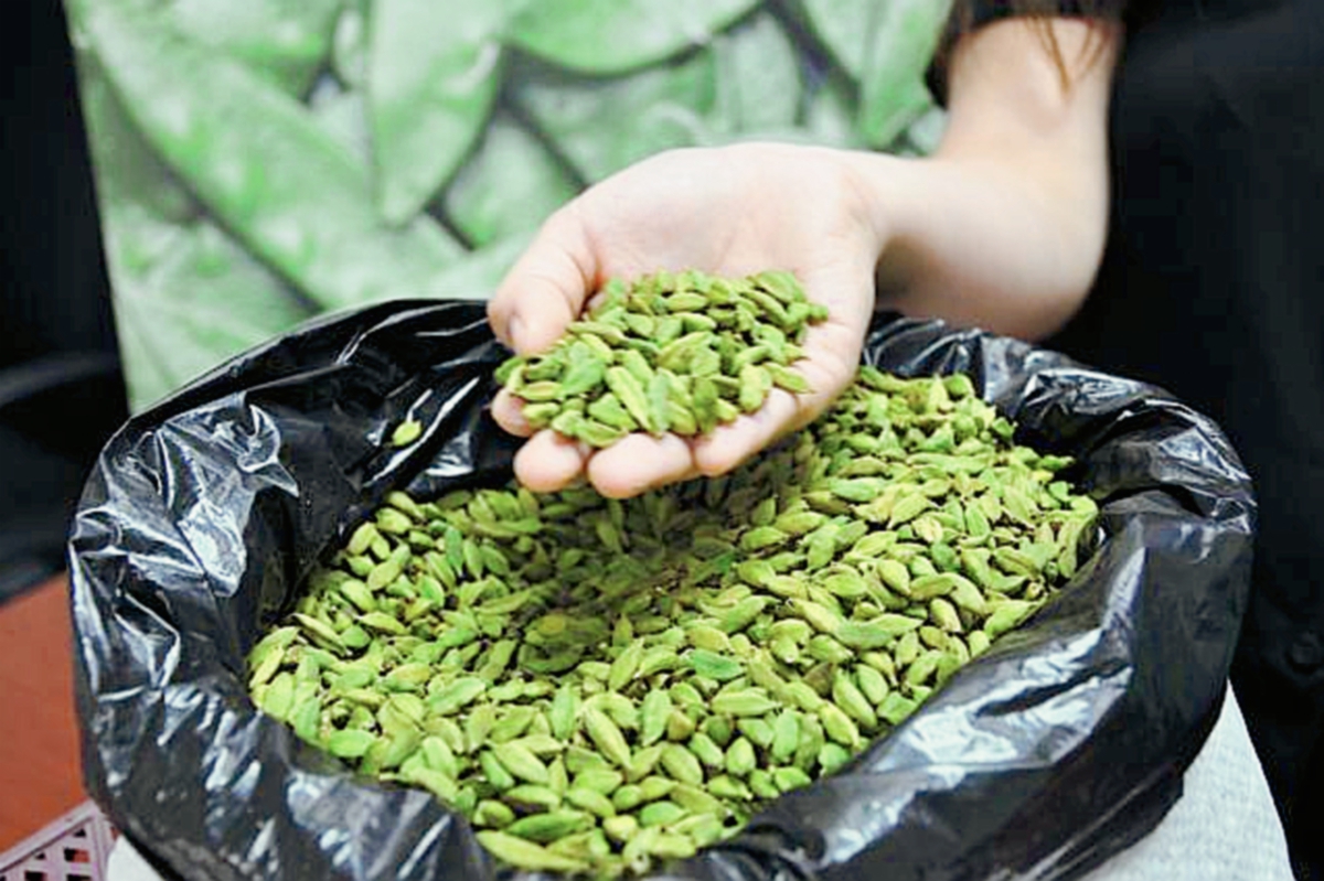 Guatemala ofertará productos agrícolas a empresarios de India. (Foto Prensa Libre: Cortesía Agexport)