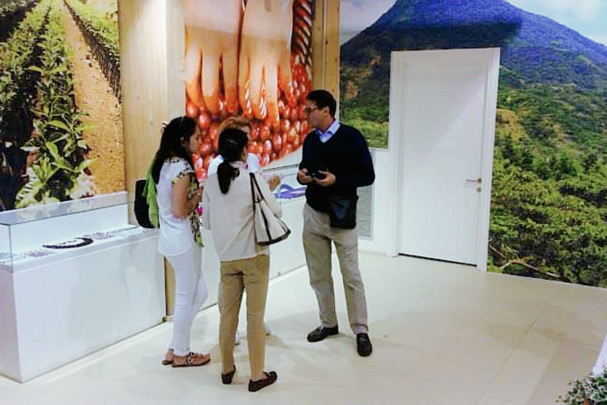 Representantes del sector cafetalero del país se encuentran en Italia en exposición internacional. (Foto Prensa Libre: Cortesía Anacafé)