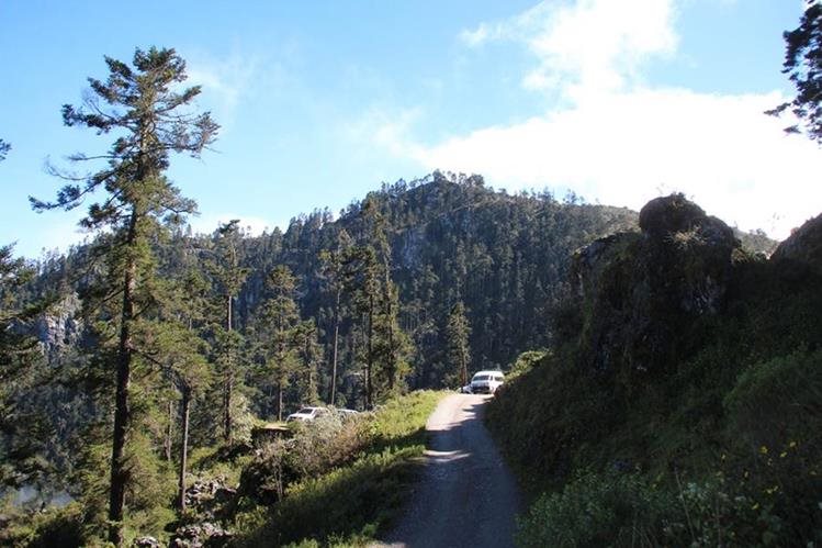 (Foto Prensa Libre: Mike Castillo)