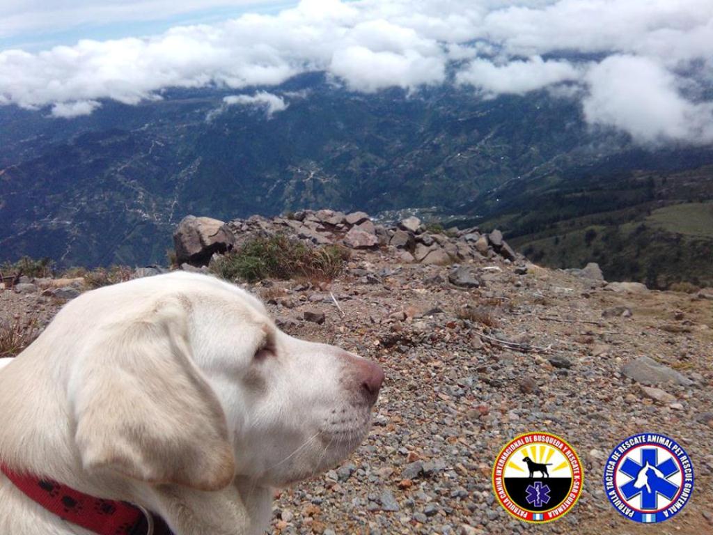 Drago en la cima del Volcán Tajumulco. (Foto Prensa Libre: K-SAR Guatemala).