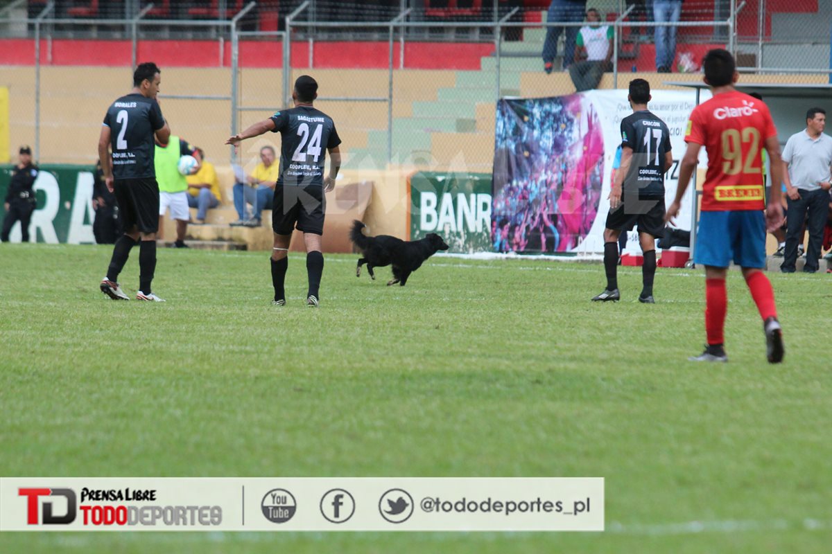 Jugadores trataron de sacar al perro de la cancha. (Foto Prensa Libre: Eduardo Sam)