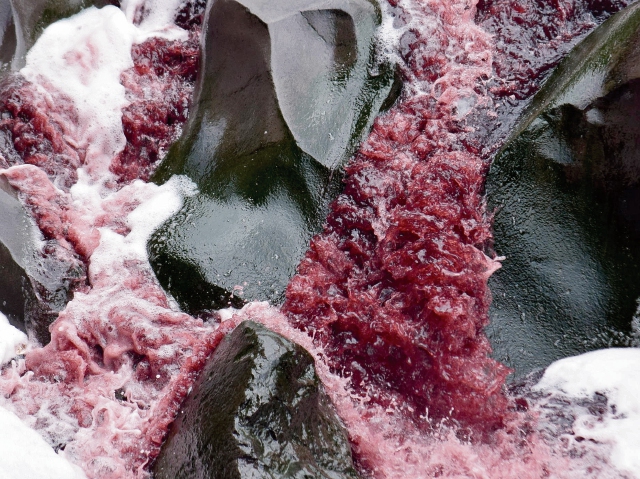 El agua del río Michatoya cambia de color con frecuencia y emana olores fétidos. (Foto Prensa Libre: Enrique Paredes).