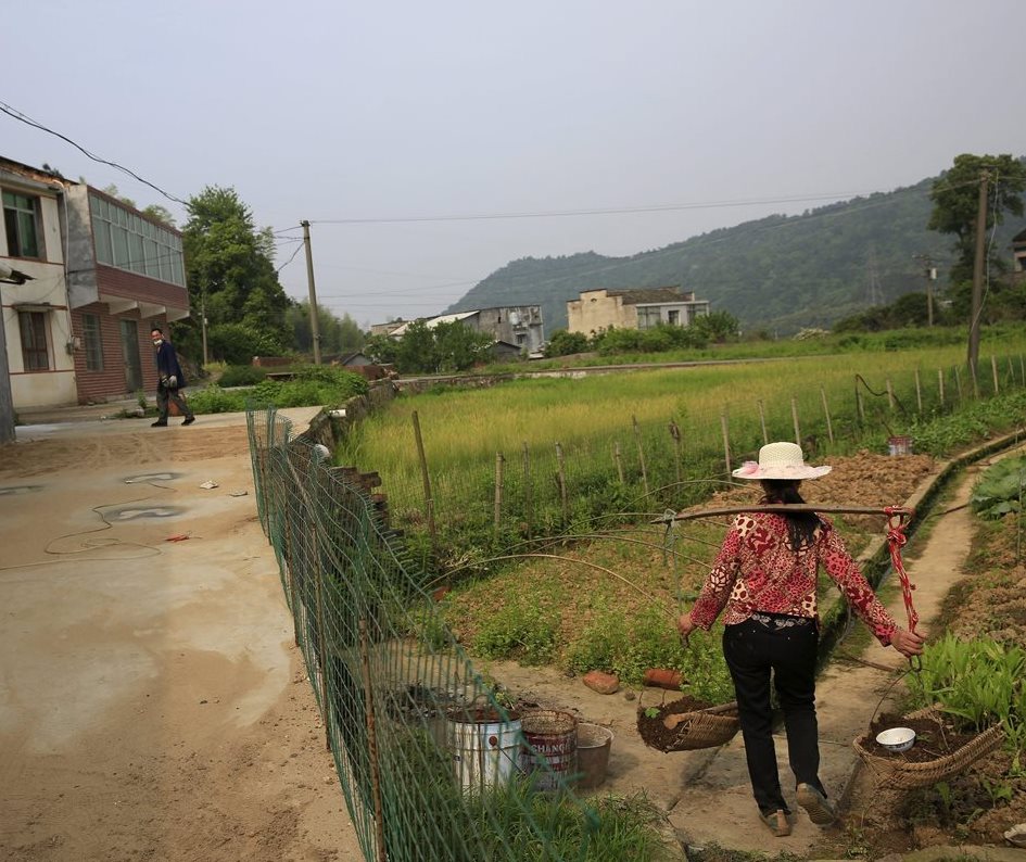 Unos 70 millones de chinos vivían por debajo del umbral de la pobreza, estimado en dos mil 300 yuanes anuales en las zonas rurales en el 2014. (Foto Prensa Libre: EFE).