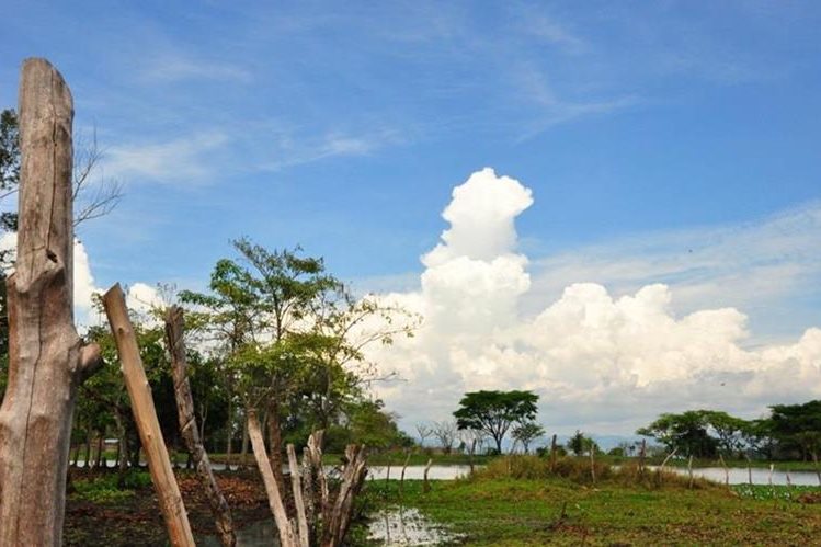 La laguna se encuentra cercada para evitar el paso de ganado.(Foto Prensa Libre: Mario Morales)