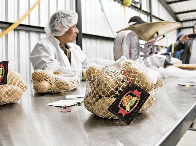 Centros de acopio son la principal propuesta para mejorar cadena de producción agrícola y generar más de 25 mil empleos en el corto plazo. (Foro Prensa Libre: Cortesía Agexport)