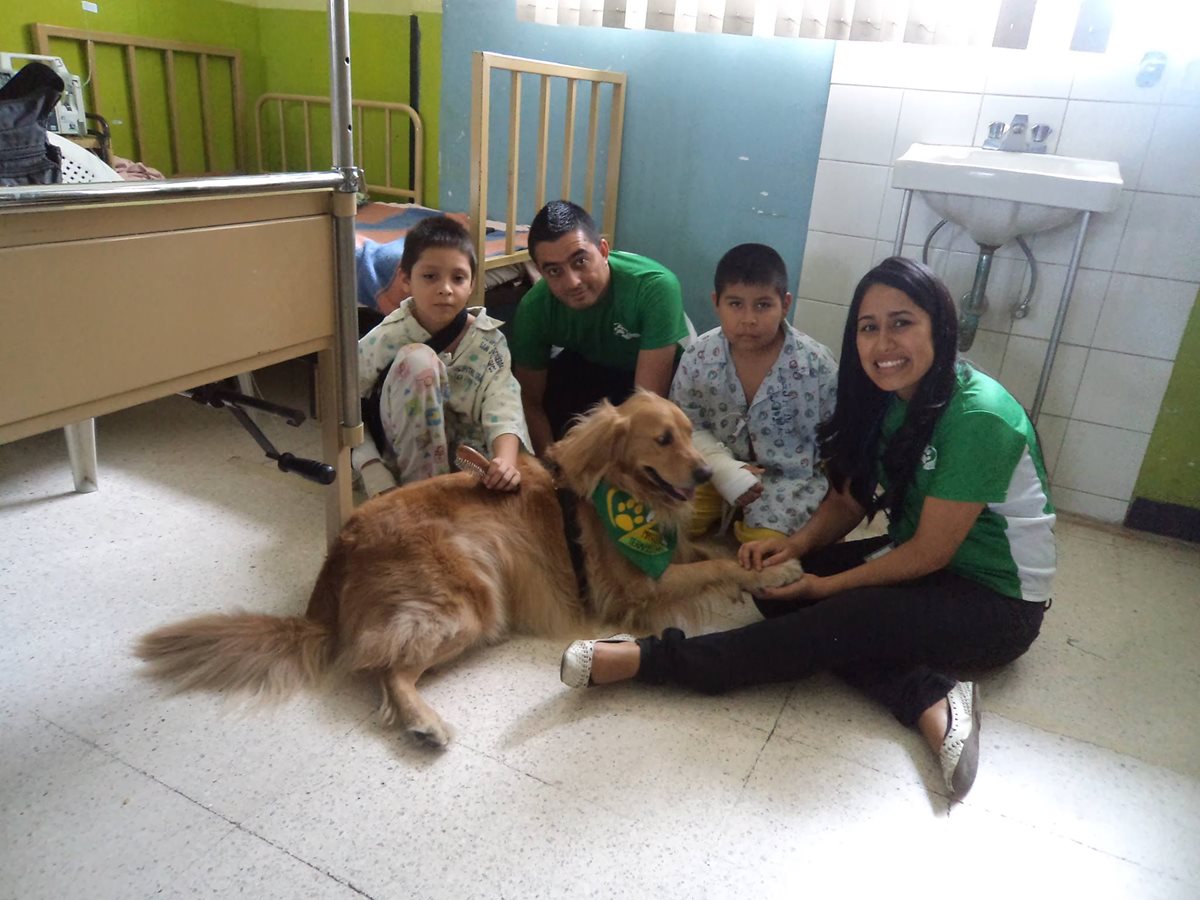 Integrantes de la Asociación Mascotas Terapeutas trabajan con pacientes de los hospitales San Juan de Dios y Roosevelt. (Foto Prensa Libre: Cortesía Mascotas Terapeutas)