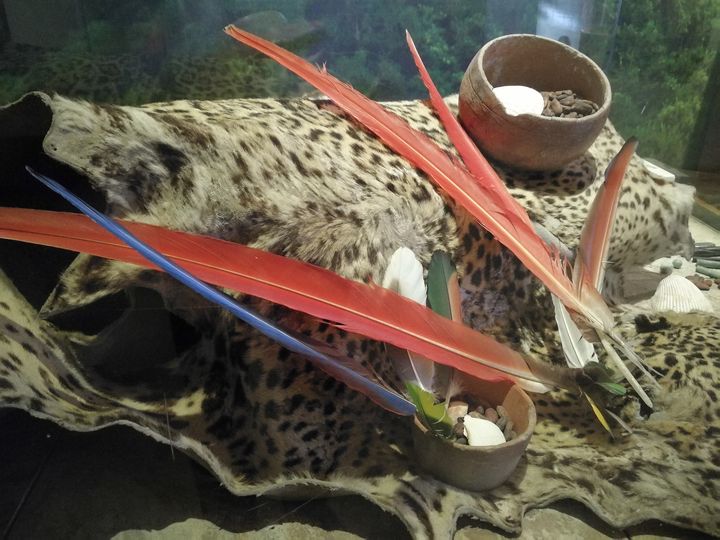 Hay más de dos mil piezas, casi la mitad son monedas, el resto son billetes, pinturas, maquetas y reproducción de maquinaria antigua para acuñar. (Foto Prensa Libre: José Luis Escobar).