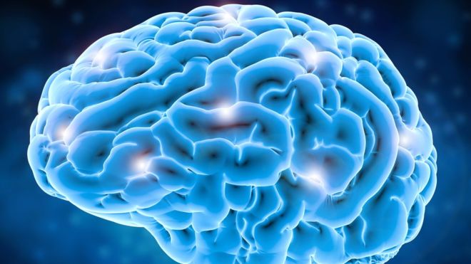 La parte del cerebro relacionada con el lenguaje está en la parte superior (GETTY IMAGES).