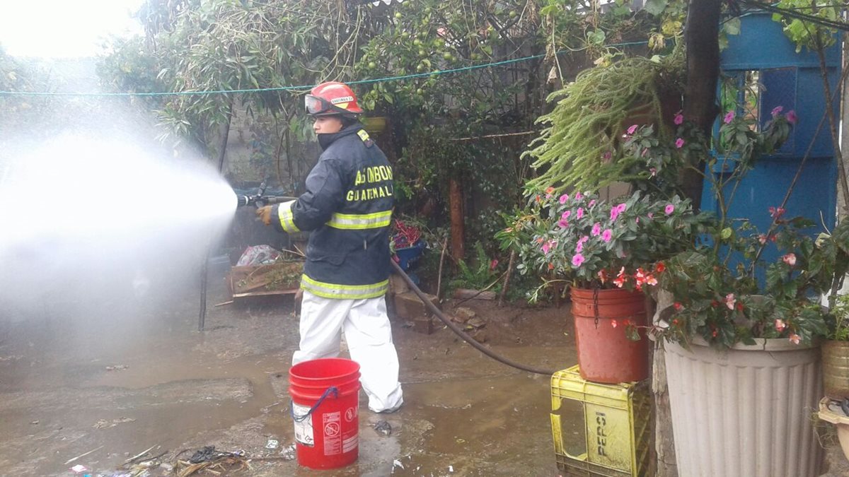 Los socorristas lanzaron cientos de galones de agua para matar a las abejas y así evitar que atacaran a más personas. (Foto Prensa Libre: Víctor Chamalé)