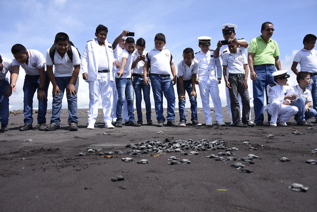 Conservacionistas promueven la liberación de tortugas para concienciar a los estudiantes sobre el cuidado del ecosistema. (Foto Prensa Libre: Enrique Paredes)