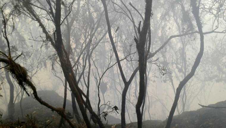 Una de las áreas donde se registra en incendio en La Libertad, Huehuetenango. (Foto Prensa Libre: Mike Castillo).