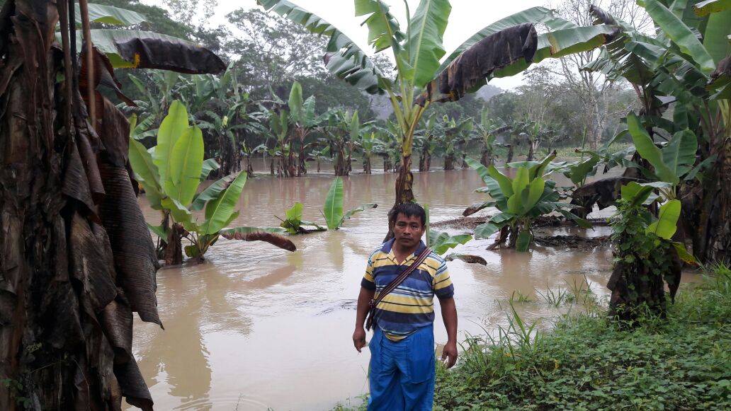 Varias comunidades permanecen inundadas en Morales, Izabal. (Foto Prensa Libre: Dony Stewart)