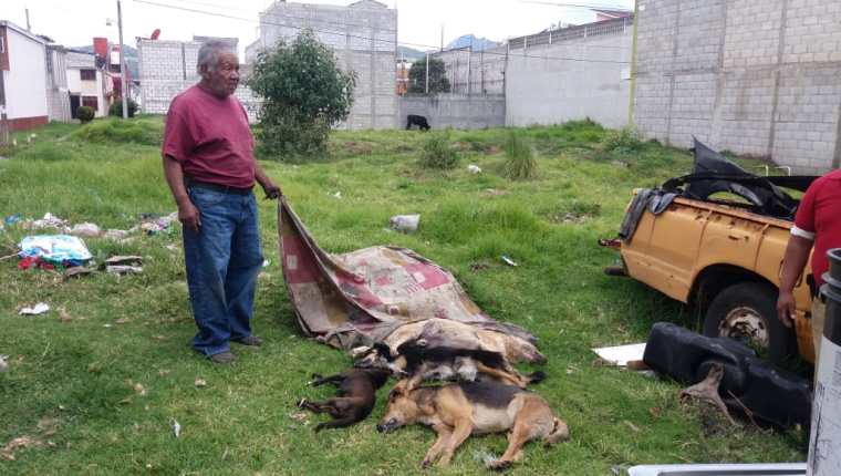 Vecinos se sorprendieron por el hallazgo de perros muertos en la colonia Vista Bella, zona 11 de Xela. (Foto Prensa Libre: Fred Rivera)