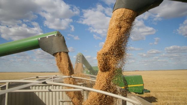 El precio de las materias primas se desplomó a partir de 2013. GETTY IMAGES