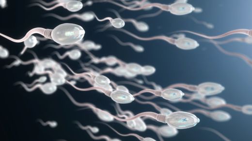 El varicocele puede afectar la calidad del esperma (Foto Prensa Libre: GETTY IMAGES).