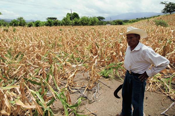 Guatemala se encuentra entre los 10 países vulnerables por el cambio climático y el jueves pasado fue postulado a organizar la COP25 en el 2019. (Foto Prensa Libre: Hemeroteca PL)