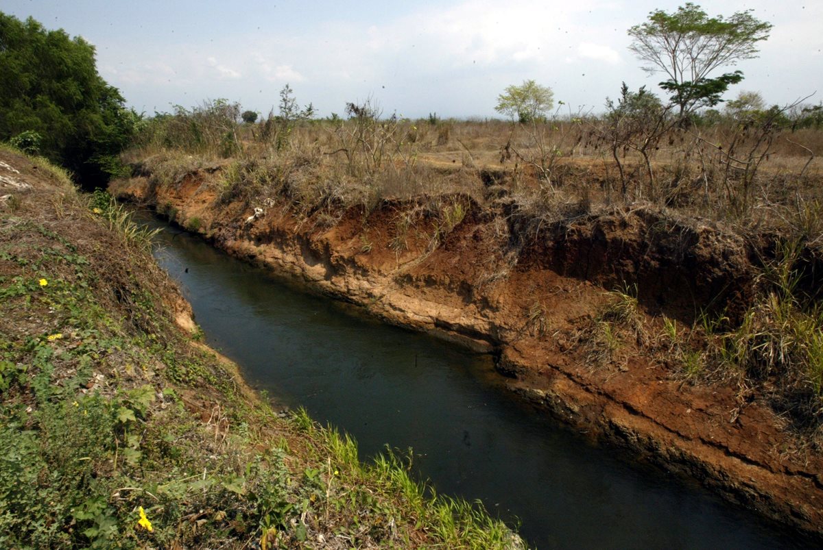 La reserva natural Manchón Guamuchal está en riesgo de ser afectada por la contaminación, según vecinos de Tres Cruces, Retalhuleu. (Foto Hemeroteca PL)