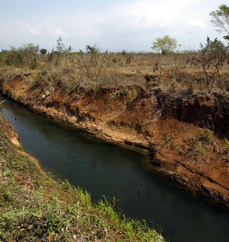 La reserva natural Manchón Guamuchal está en riesgo de ser afectada por la contaminación, según vecinos de Tres Cruces, Retalhuleu. (Foto Hemeroteca PL)