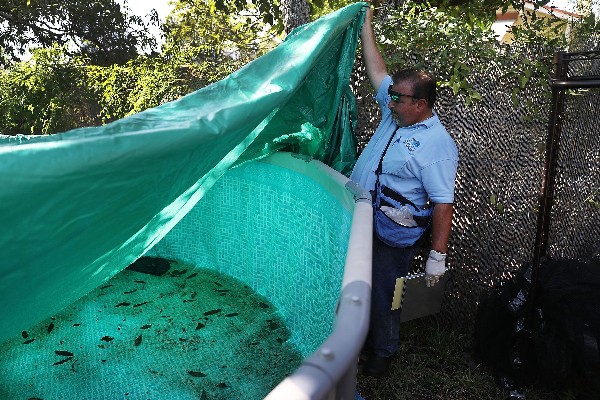 Un inspector del condado de Miami-Dade, inspecciona una propiedad sobre el zika. (Foto Prensa Libre: AFP)