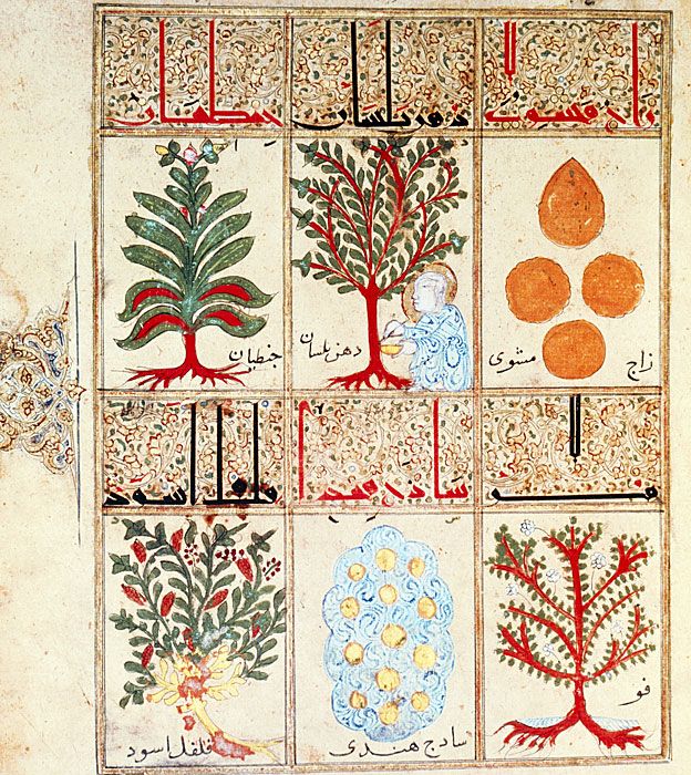 Del "Tratado sobre la triaca", un manuscrito árabe del siglo XIII, seis hierbas para hacer el remedio. En esa época, la medicina árabe era más avanzada que la europea. SCIENCE PHOTO LIBRARY