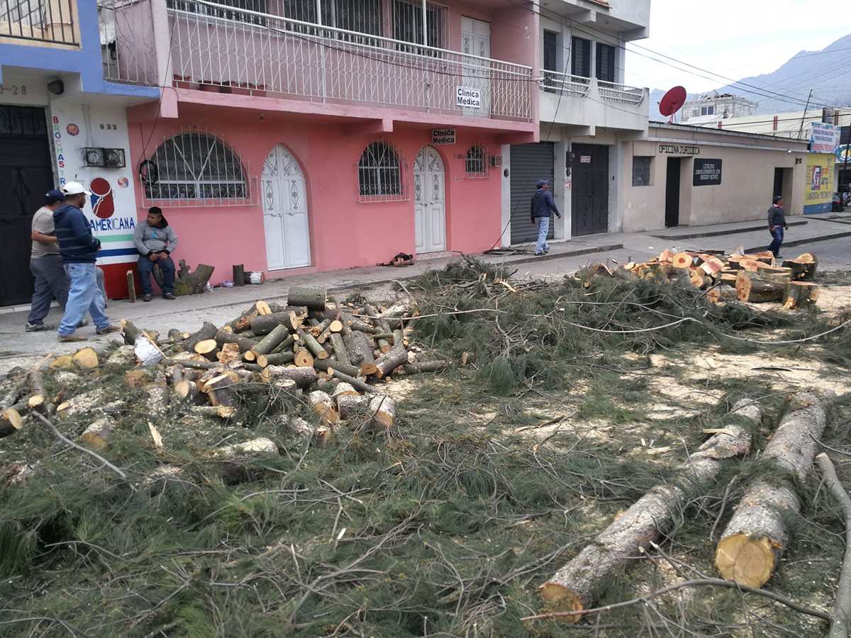 Dos transeúntes ven los restos de los árboles derribados en la 18 avenida, zona 3. (Foto Prensa Libre: Fred Rivera)