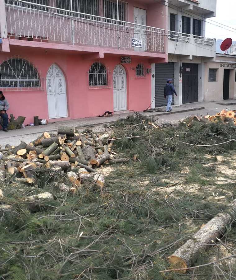 Dos transeúntes ven los restos de los árboles derribados en la 18 avenida, zona 3. (Foto Prensa Libre: Fred Rivera)