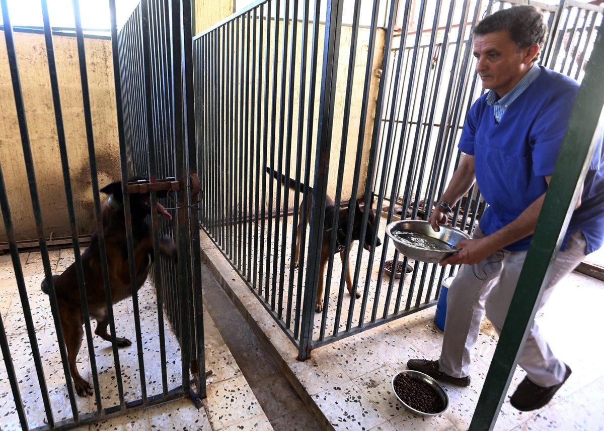 Jalal, un veterinario libio arriesgó la vida para cuidar a decenas de animales domésticos y llevarlos a Túnez.(Foto Prensa Libre: AFP).