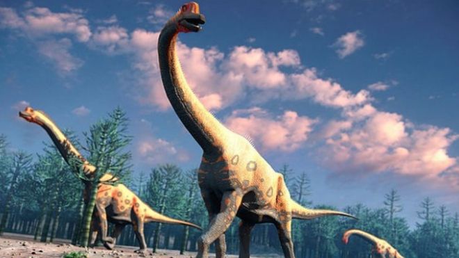 No hay en la tierra ninguna criatura parecida a los dinosaurios saurópodos. ALAMY