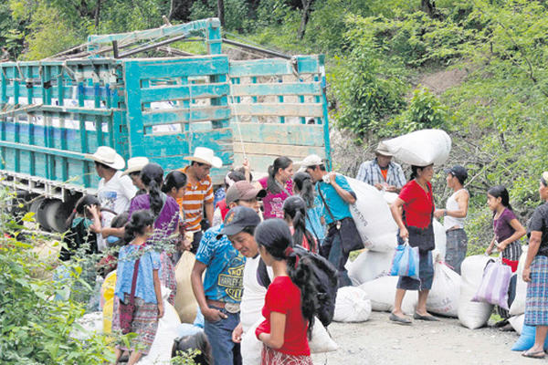 LA POBREZA y la falta de fuentes de trabajo originan la migración interna temporal en Baja Verapaz.