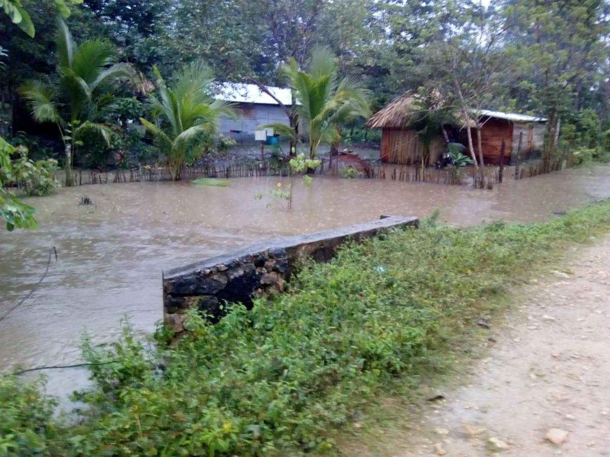 Varios sectores permanecen inundados en la comunidad El Mirador, Sayexché, Petén. (Foto Prensa Libre: Conred).
