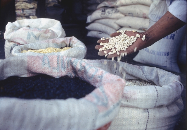 Según informe de la FAO, existe suficiente oferta de maíz y frijol. (Foto Prensa Libre: Samuel Flores)