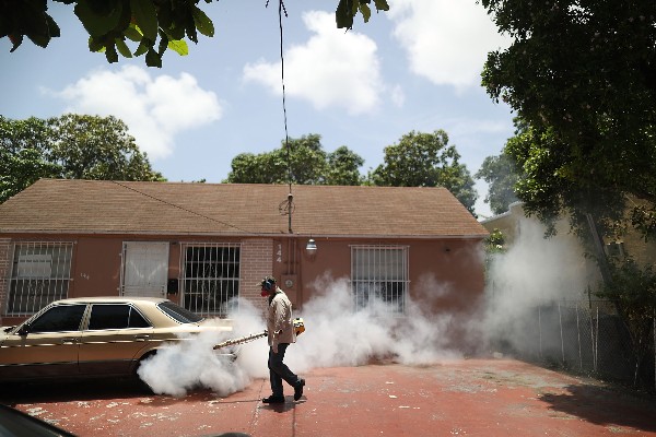 La fumigación terrestre se realiza desde hace semanas.(Foto Prensa Libre: AFP)