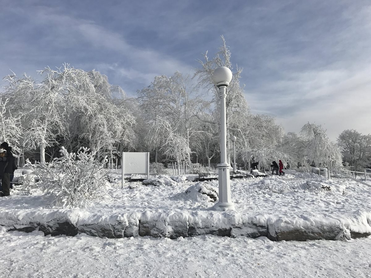 Todo se congela en los alrededores del Niágara, en EE. UU. (Foto Prensa Libre: EFE)
