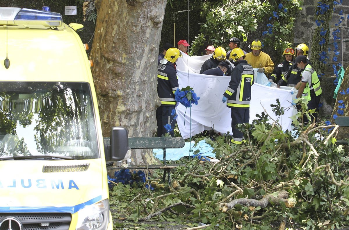 Rescatistas trabajan en el lugar donde 11 personas murieron al ser aplastadas por un árbol que les cayó encima, en la isla de Madeira.Portugal.(Foto Prensa Libre: EFE).