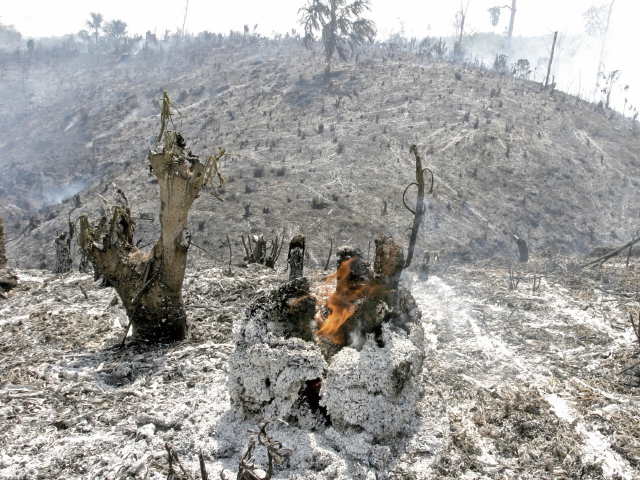 Los incendios forestales afectan particularmente a Petén y las áreas protegidas. (Foto Prensa Libre: Hemeroteca PL)