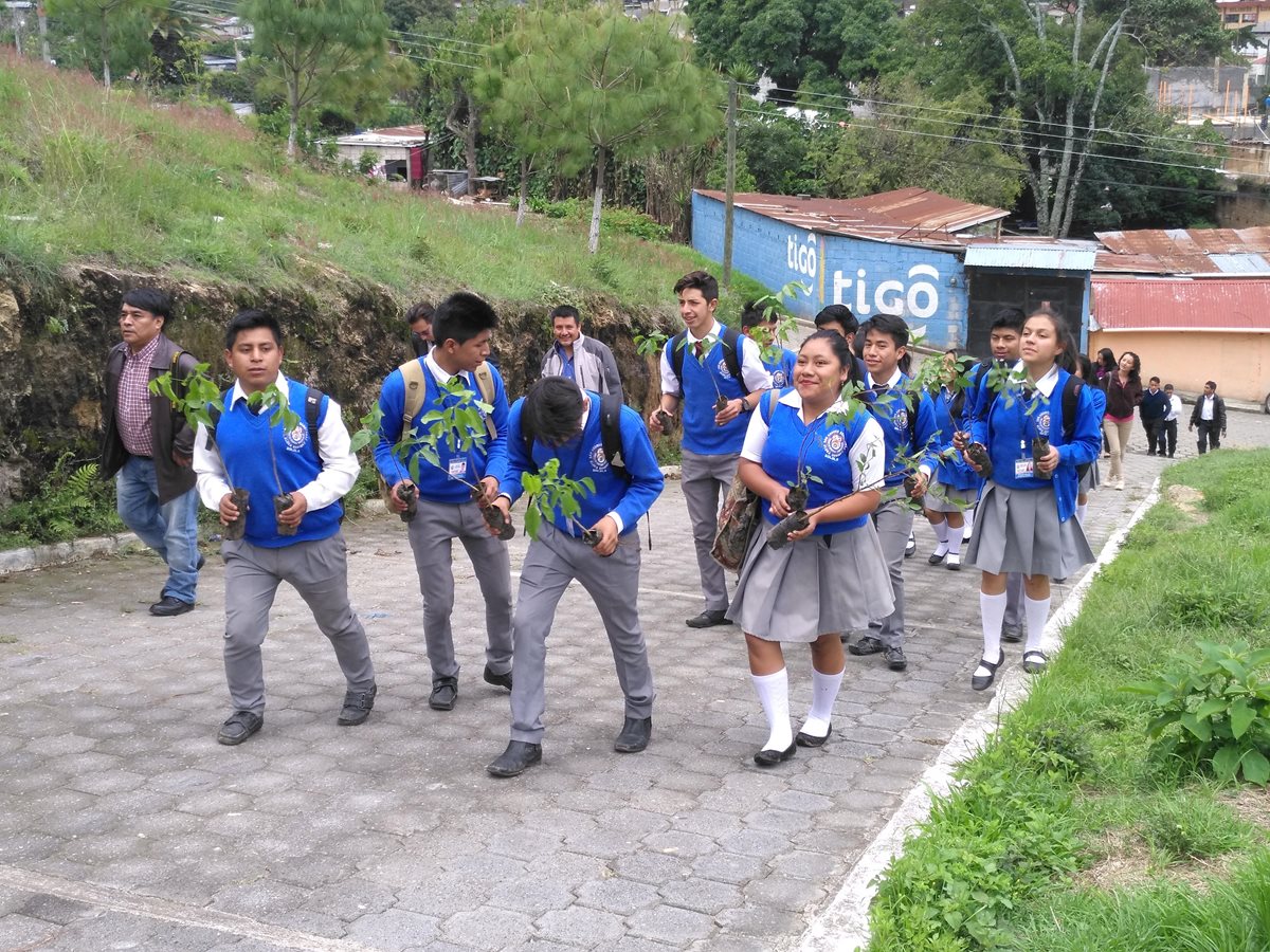 Estudiantes llevan sus plantas para sembrar en el bosque sonoro, en San Andrés Semetabaj, Sololá. (Foto Prensa Libre: Ángel Julajuj)