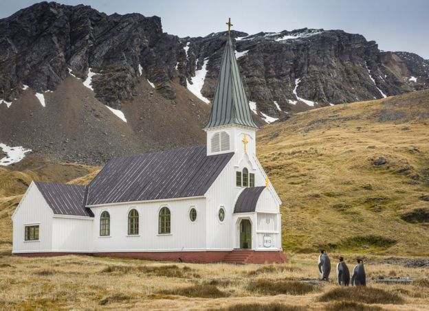 Vestidos y listos para entrar a la iglesia. Este fue el título que Carl Henry le dio a su foto tomada en Isla Georgia del Sur, en el Atlántico Sur. Foto: Carl Henry.