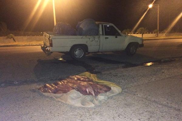 Autoridades decomisaron 400 libras de Pez Vela en Palín, Escuintla, cuando eran trasladadas en tres vehículos. (Foto Prensa Libre: Enrique Paredes)<br _mce_bogus="1"/>