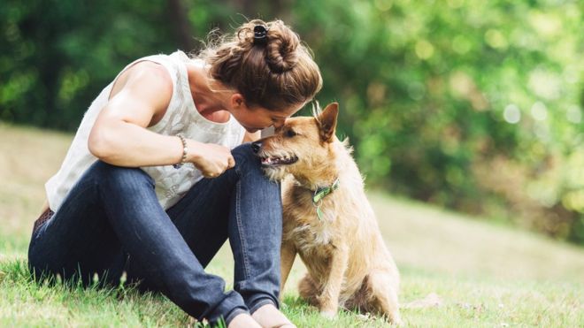 Que los perros tienen un sentido del olfato mejor que el nuestro es una idea ampliamente aceptada pero que no tiene base científica, asegura el estudio. (GETTY IMAGES).