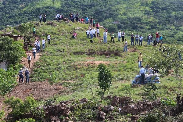 Unos 200 estudiantes participaron en la siembra de 600 árboles en el Cerro de la Cruz.