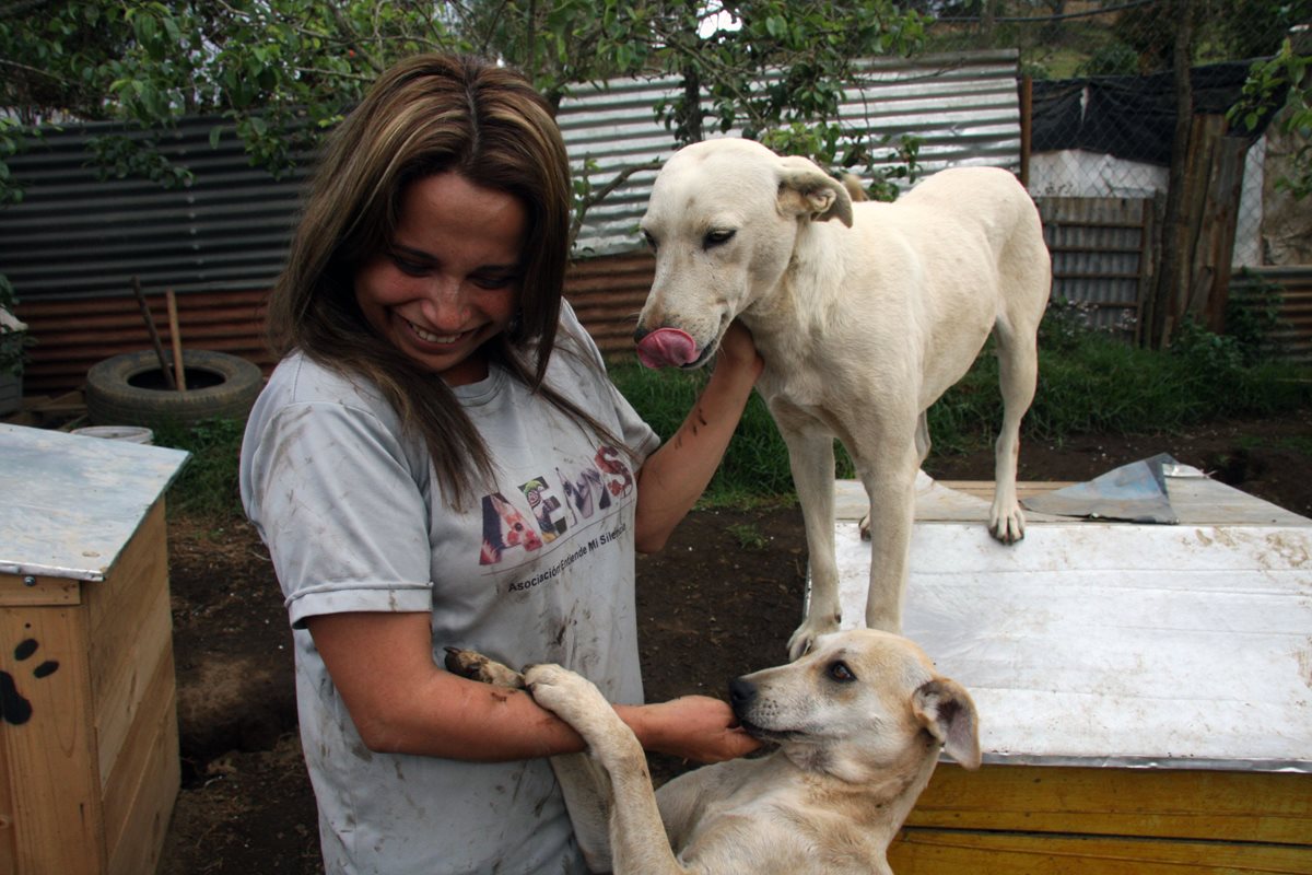 Karla Chacón convive con dos de los perros que atienden en el refugio. (Foto Prensa Libre: Renato Melgar).