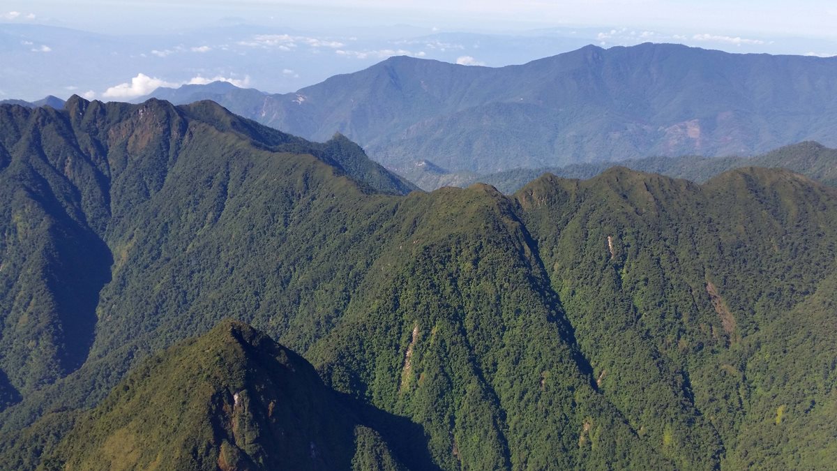 Sierra de las Minas es el segundo pulmón ecológico de Guatemala