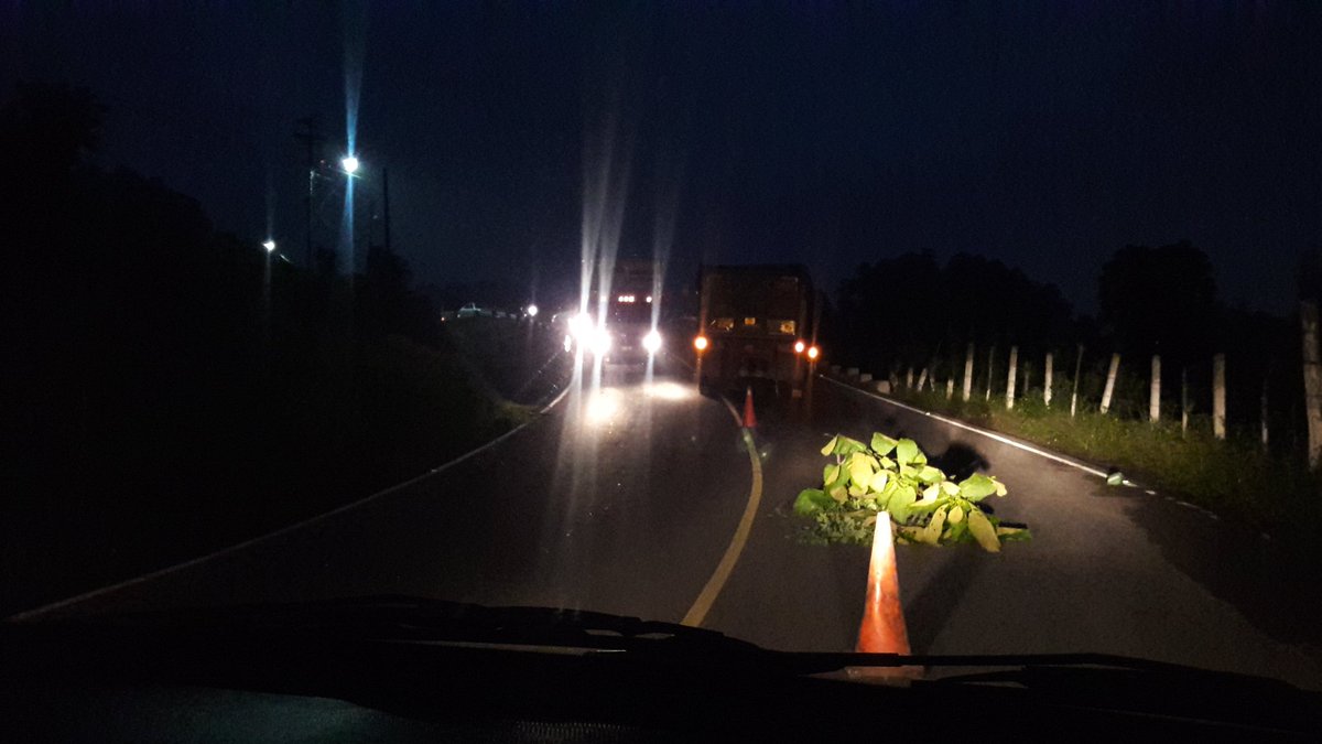 Trailer averiado en ingreso a la ciudad por ruta al Pacífico. (Foto Prensa Libre: Dalia Santos)