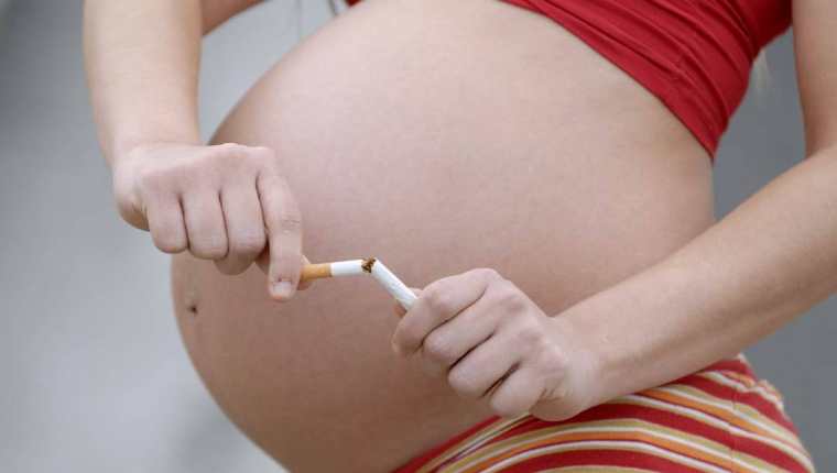 Fumar durante la gestación deja secuelas renales al bebé para toda su vida.